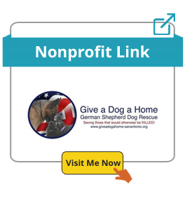 GiveFor.org Nonprofit Links